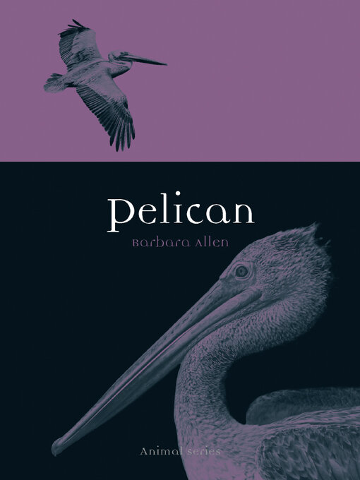 Title details for Pelican by Barbara Allen - Available